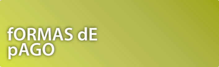 Pago Master: sistema de pago online